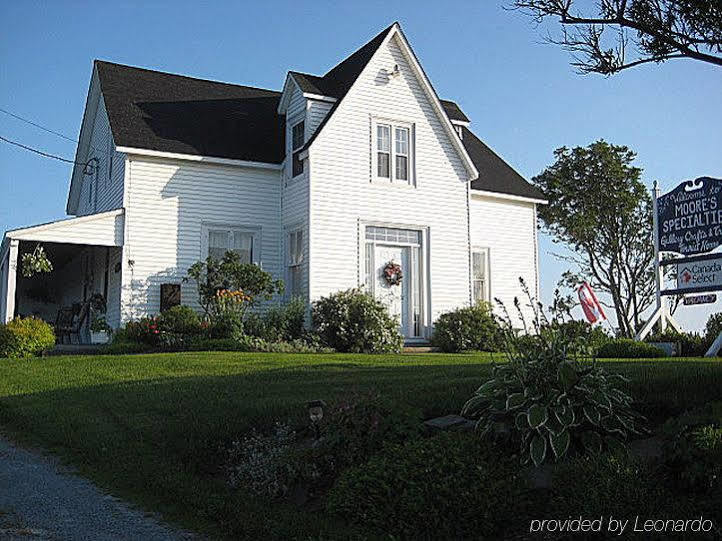 Moore'S Specialties Fundy Bay House Rental Gardner Creek Exterior foto